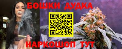 индика Краснознаменск