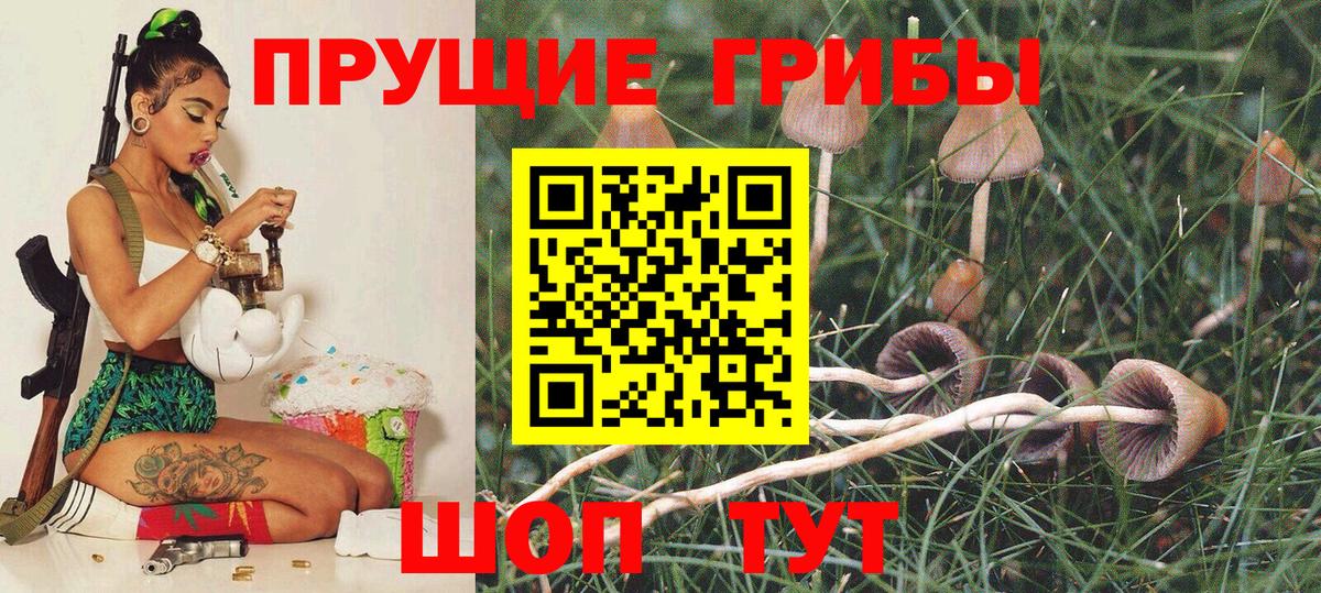 Псилоцибиновые грибы ЛСД  Вход с VPN  Кашира  Псилоцибиновые грибы Cubensis 